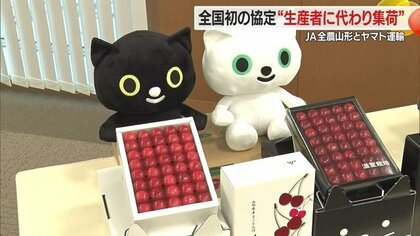 全国初のタッグ！　農家の代わりに農作物を運送会社がJA集荷場まで運ぶ　ヤマト運輸とJA全農山形が協定締結【山形発】