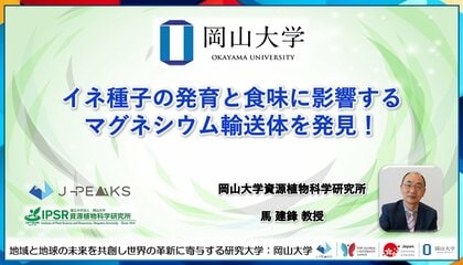 【岡山大学】イネ種子の発育と食味に影響するマグネシウム輸送体を発見！
