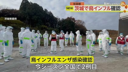 卵はまた高騰するのか？クリスマスケーキに影響も　茨城で“鳥インフル”…約7万2000羽が殺処分