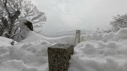 「干支登山」で訪れた馬鬣山で見つけた春の訪れ　明治天皇が名付けた山で、雪の中に咲き始めたマンサクの花