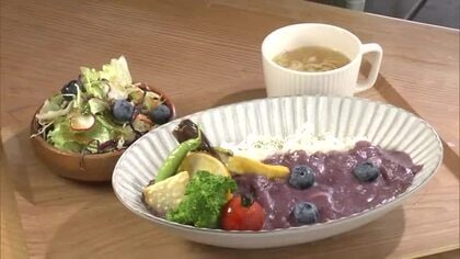 旬のブルーベリー、収穫体験楽しもう　この時期限定！ブルーベリー色のカレーも味わって　秋田・男鹿市