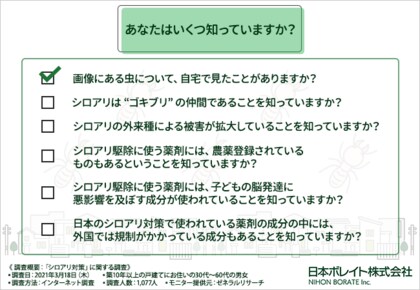 シロアリ対策に潜む危険性 正しい知識を知っておかないと後悔する