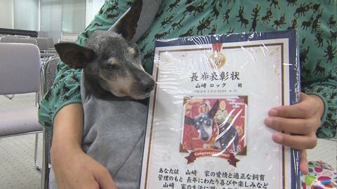 「一日でも長生きしてほしい」　動物愛護週間最終日に「ご長寿犬」の表彰式　人間なら100歳前後の犬も　飼い主も笑顔　
