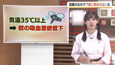 【天気コーナー】17日の山陰は「日ざし届かず」鳥取では雨の所も「猛暑」収まり「蚊」に注意