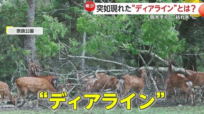 自然が生んだ景色を楽しめる(撮影:@igufoto)