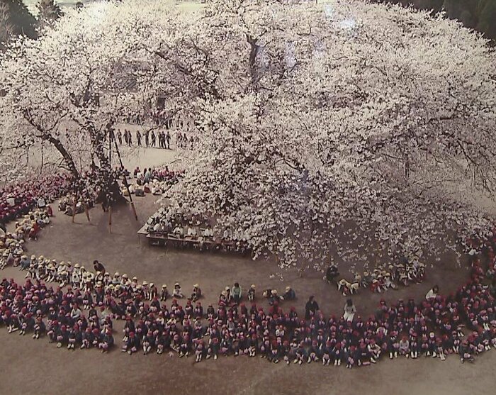 10年以上前のお花見集会