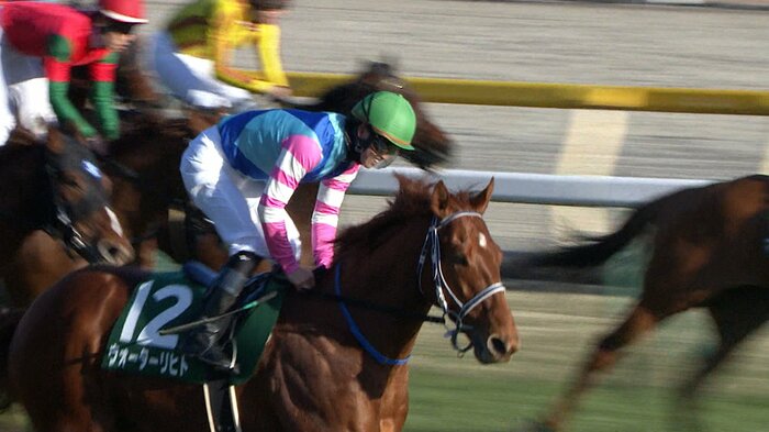 25年東京新聞杯・GⅢを制したウォーターリヒト