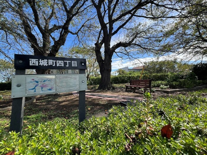 高田女学校跡地。和が来た頃の校舎があった場所（筆者撮影）