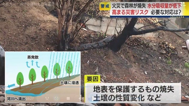 火事で焼けた山肌(大船渡市)