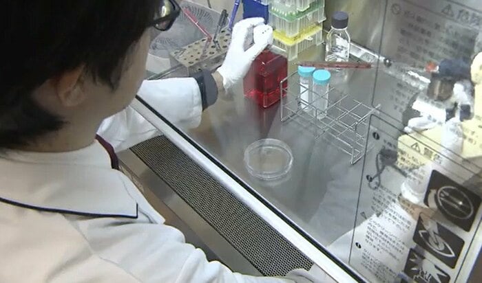 医療機関であると同時に研究機関でもある東北大学病院