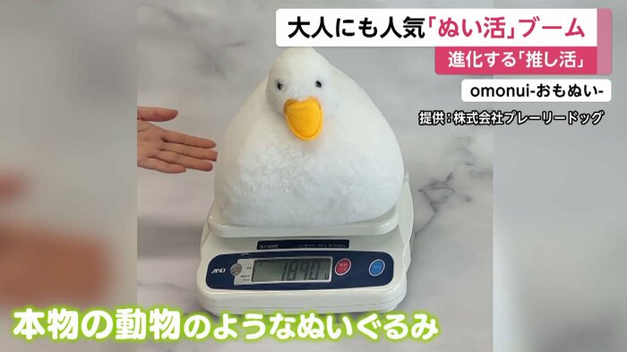 重さ約2キロ!リアルな抱き心地
