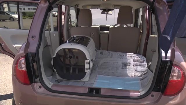 ペットとの車中避難　車内の環境