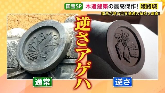 「逆さアゲハ」