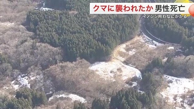 大和町吉田の山林
