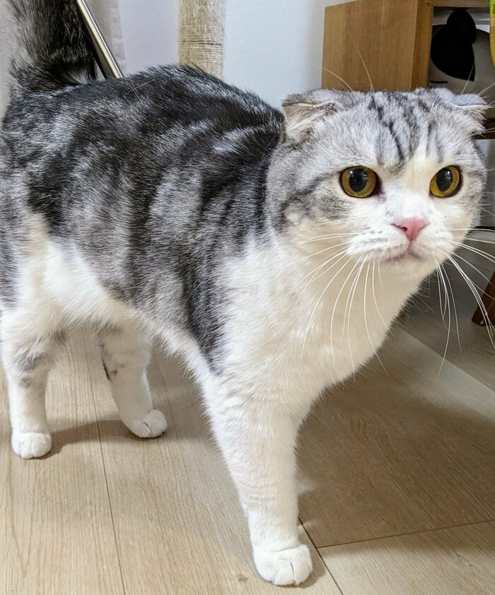 倫太郎くん