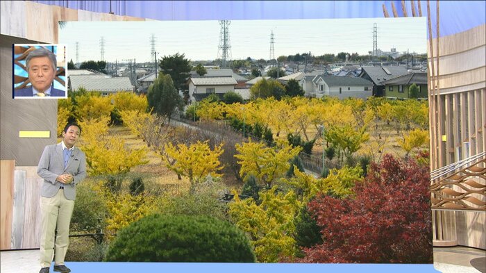 2018年11月 東京・三鷹市 山本果樹園