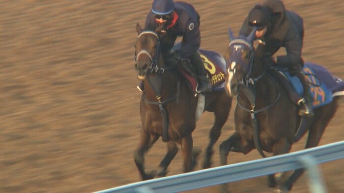最終追い切りを行うブラウンラチェット