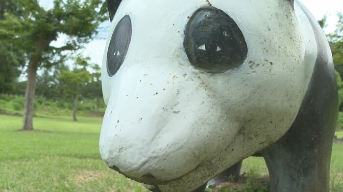 親パンダ