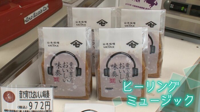 味噌はヒーリングミュージックが好き⁉