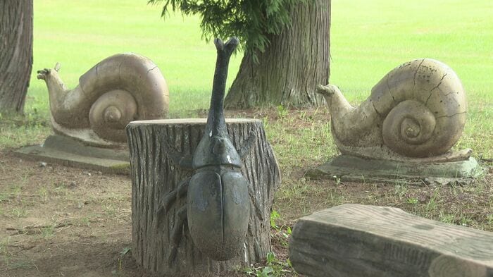 カブトムシとカタツムリ