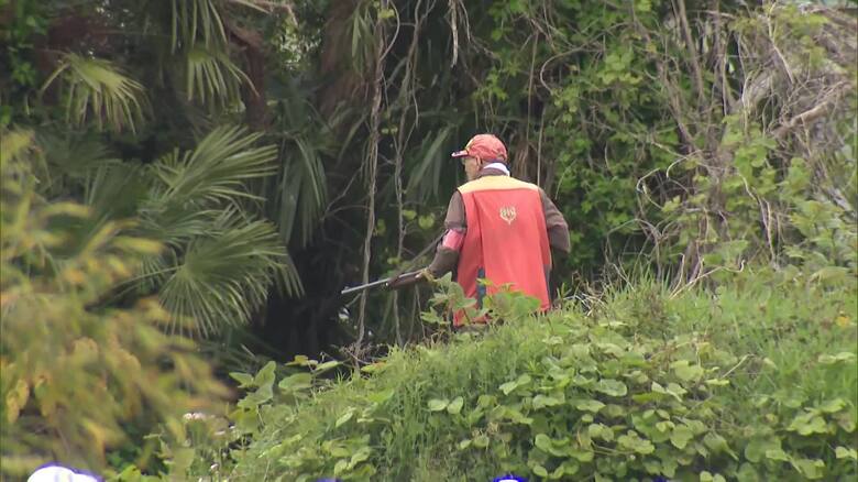 40代女性が犬の散歩中にクマに襲われ顔や頭などをけが　市が緊急銃猟で駆除　富山｜FNNプライムオンライン