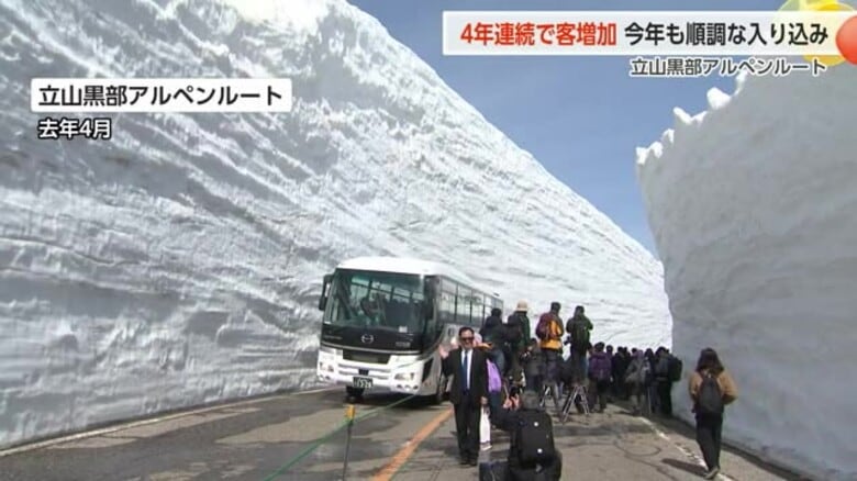 「立山黒部アルペンルート」 去年の入り込み客数82万人  4年連続増加  今年も去年上回るペース｜FNNプライムオンライン