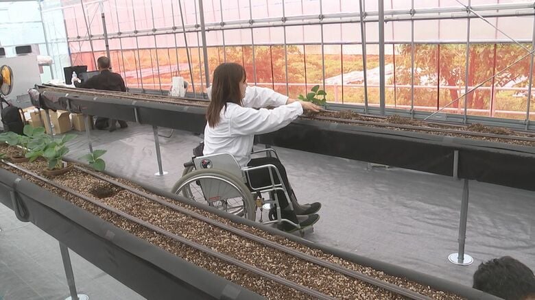 農業の担い手不足の解消目指す　障害のあるなしに関わらず多様な人が関われる実証実験6月スタート　大分｜FNNプライムオンライン