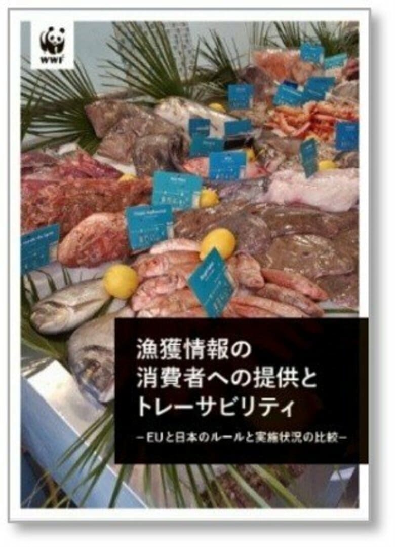 報告書『漁獲情報の消費者への提供とトレーサビリティ～EUと日本のルールと実施状況の比較～』を発表