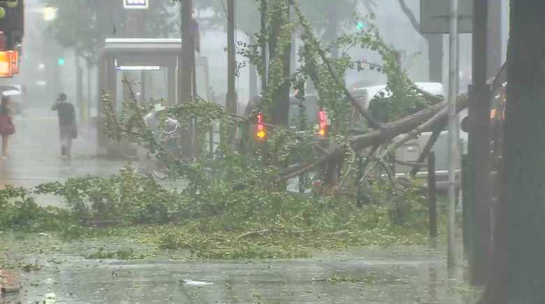 台風21号の被害