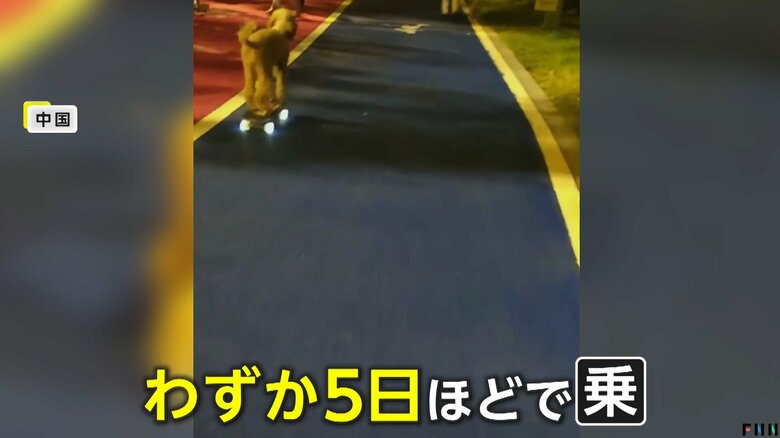 「来福」は、わずか5日でスケボーに乗れるようになったという