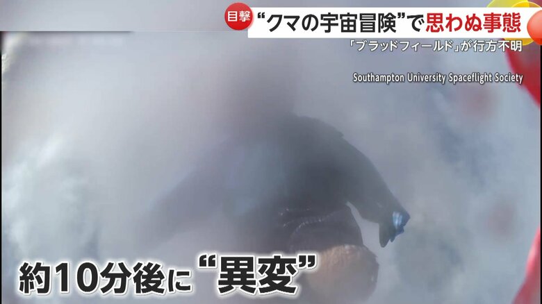 子どもたちと大学生が、共同でテディベアを気球で宇宙に飛ばそうと企画