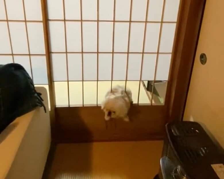 あれ？？