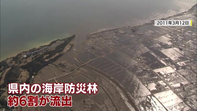 津波で防災林が流出した福島県沿岸部