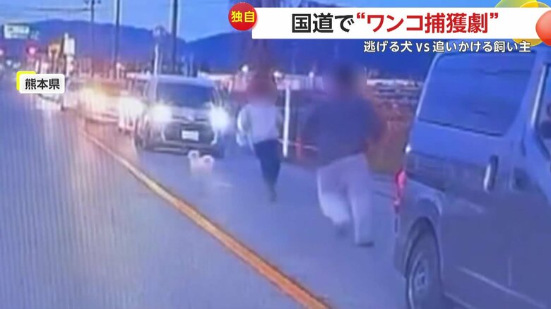 犬を捕まえようと挟み撃ちにしたドライバーたち