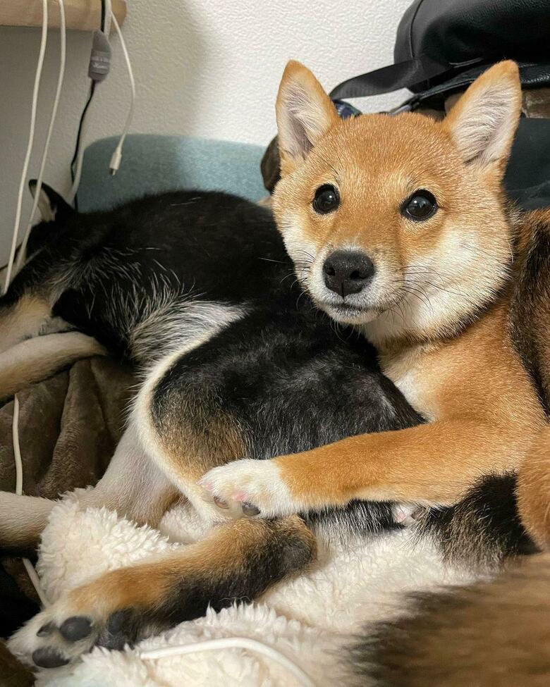 提供：まめふく&ゆめくりさん