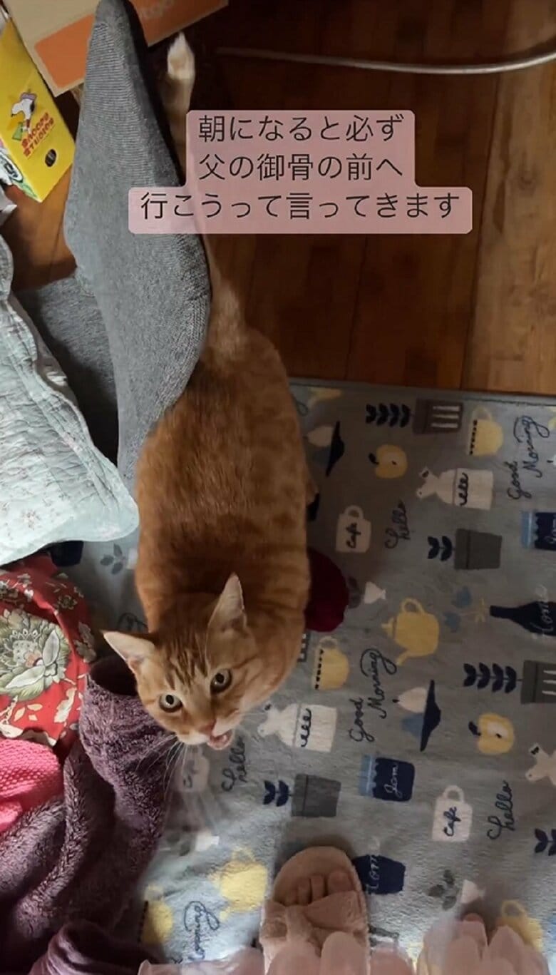 ちびくんは「にゃーん」と返事する