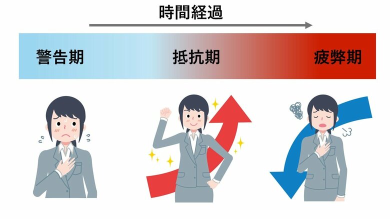 ストレス反応の3段階のイメージ（編集部作成）
