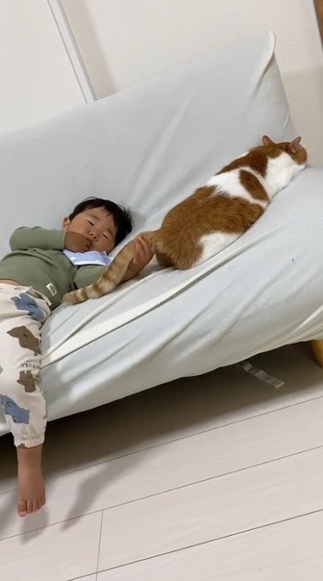 提供：Hassakuさん