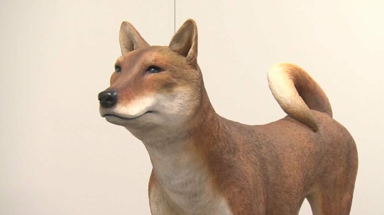 復元された模型