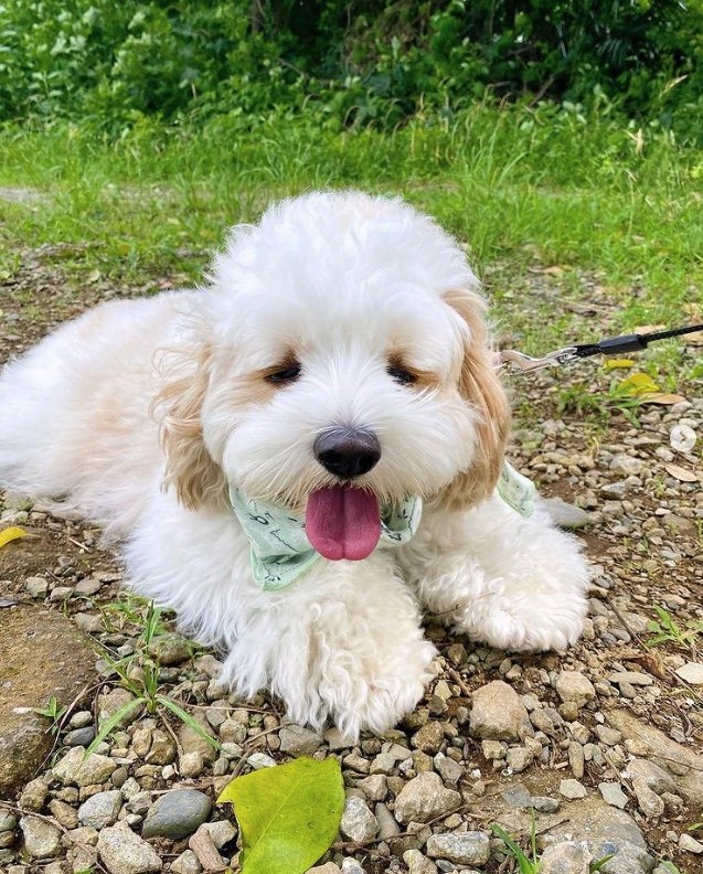 提供：宮原幸恵さん