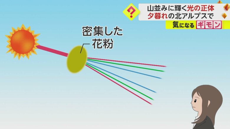 花粉光環が見える仕組み④