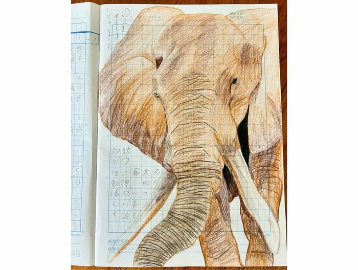 自主学習ノートに描いたアフリカゾウ