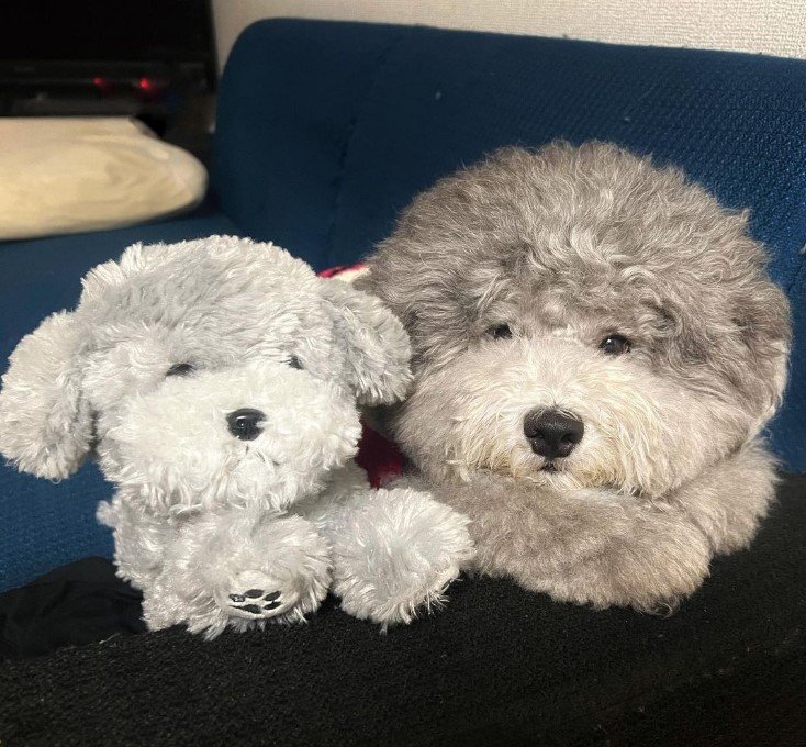 当時4歳のこの日もそっくり（提供：レノン&れあるさん）