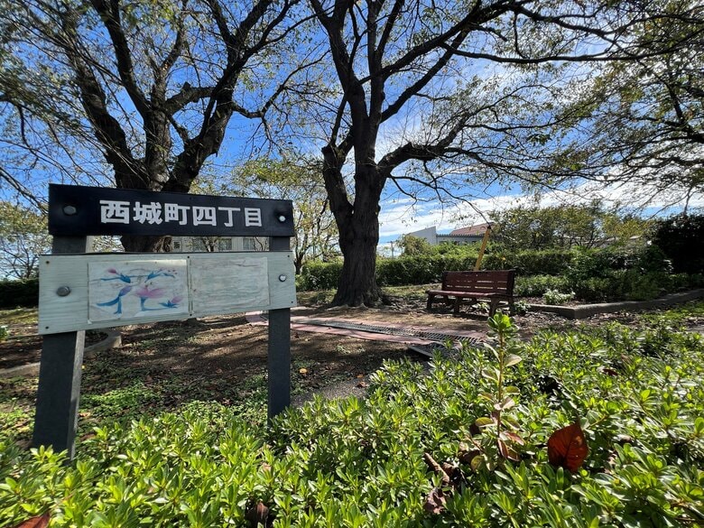 高田女学校跡地。和が来た頃の校舎があった場所（筆者撮影）