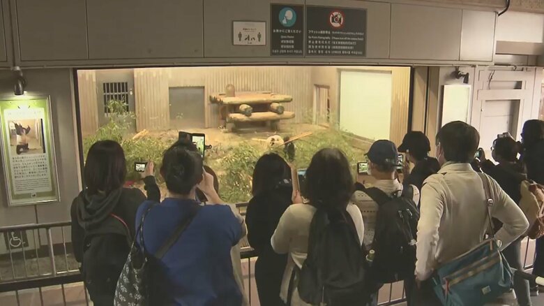 最終観覧日のシャンシャンを見られたラッキーなファンも