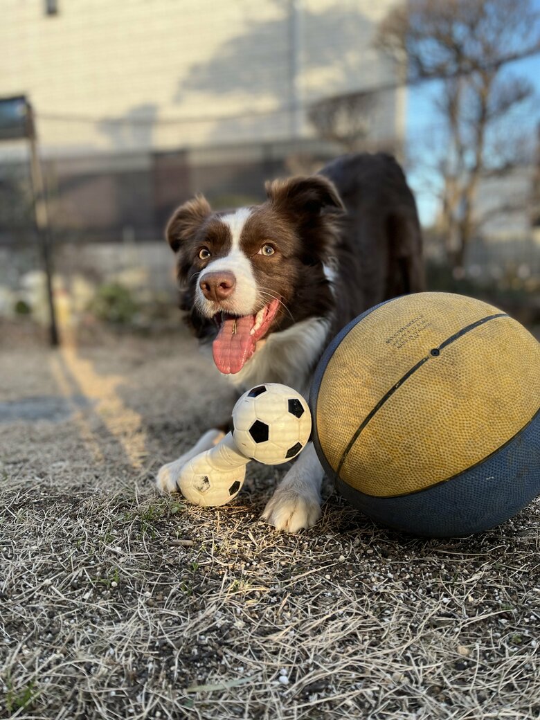 提供：ゆに＆メッシさん