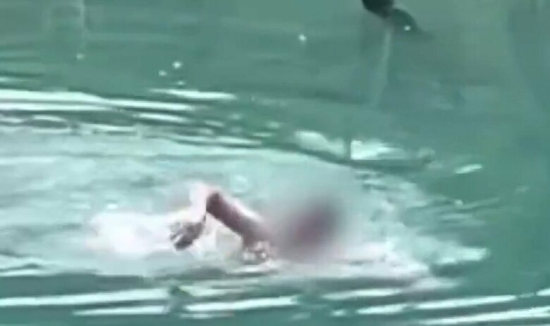 白金青い池で泳ぐ外国人とみられる男性（撮影：谷トモさん）