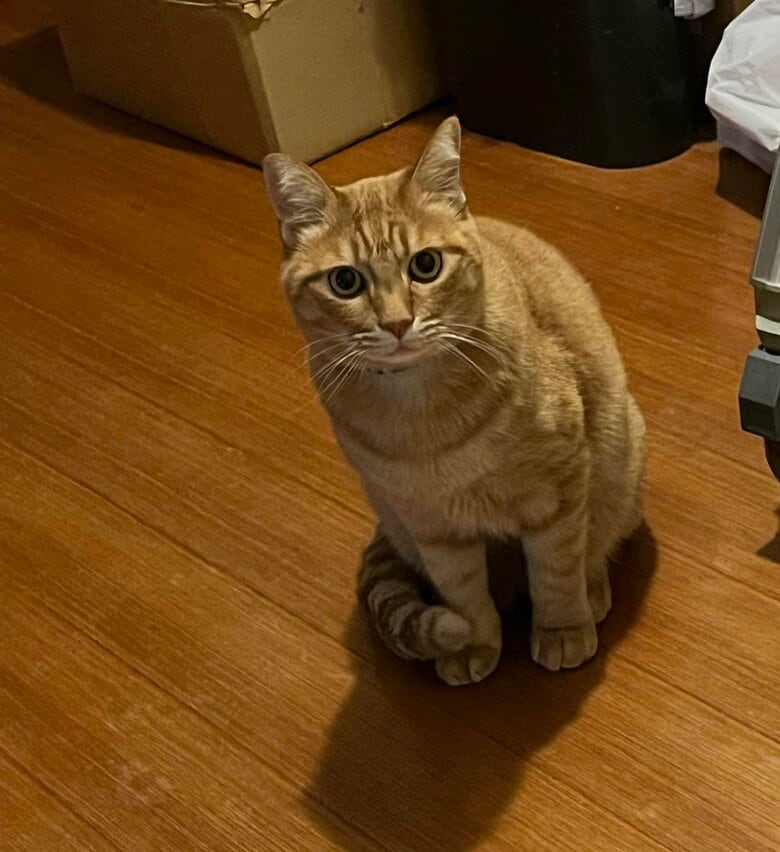 こんなに大きくなりました