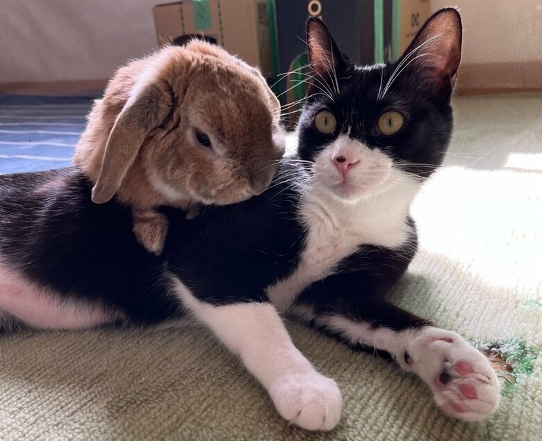 ビビくんの近くにいられて楽しそう