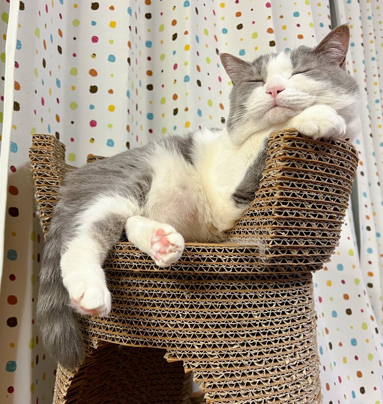 提供：いずもん/まろ様さん